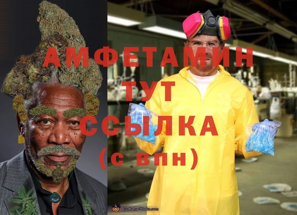 спайс Баксан
