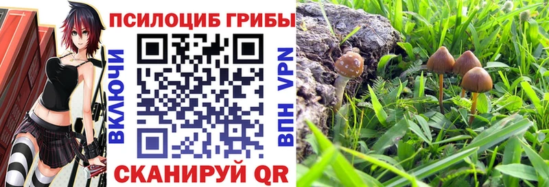 Псилоцибиновые грибы мицелий  omg   Бирюсинск 